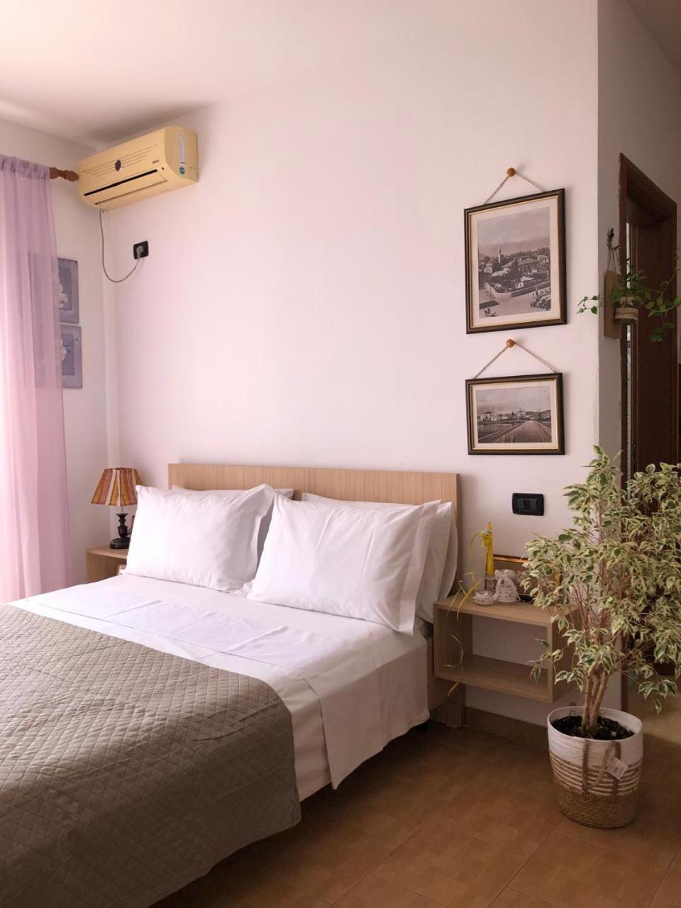 Studio Of Shpresa Avlonya Dış mekan fotoğraf